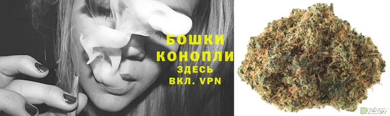 Каннабис White Widow  где найти наркотики  Верхотурье 